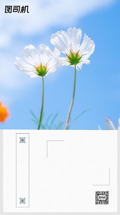 励志早安签到手机海报背景