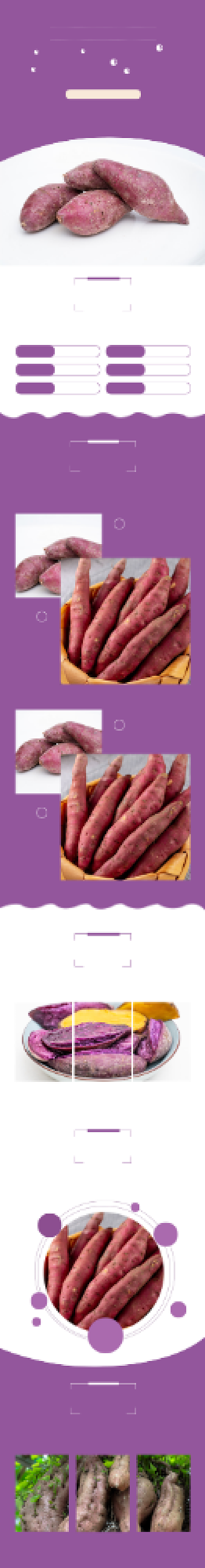 紫薯红薯地瓜食品茶饮详情页背景