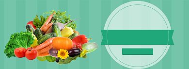 全场满减清新简约生鲜全屏海报背景