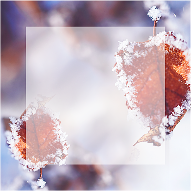 图文简约24节气之霜降方形配图背景