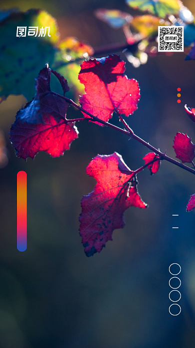 九月你好浪漫梦幻手机海报背景