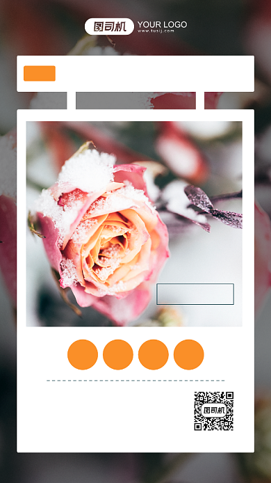 二十四节气大雪文艺摄影图手机海报背景