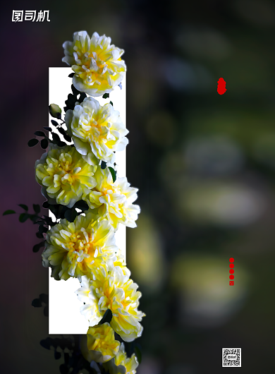 下元节清新简约传统节日宣传海报背景