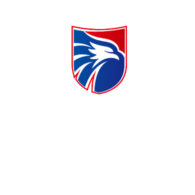 老鹰动物标志公司LOGO背景