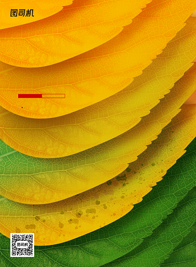 简约创意二十四节气立秋海报背景