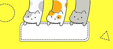 黄色新手养猫公众号首图背景