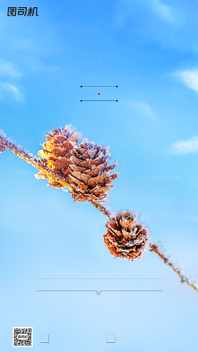 立冬节气摄影图雪花松果清新手机海报背景