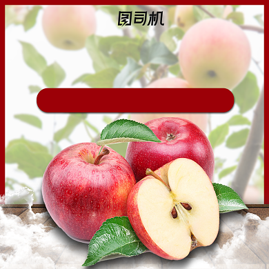 夏日新鲜水果主图模板橙子苹果背景