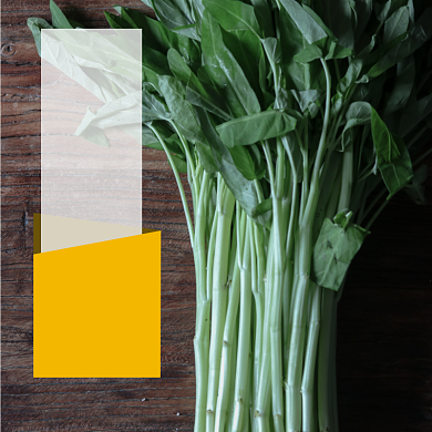 空心菜蔬菜食品淘宝主图直通车模板背景