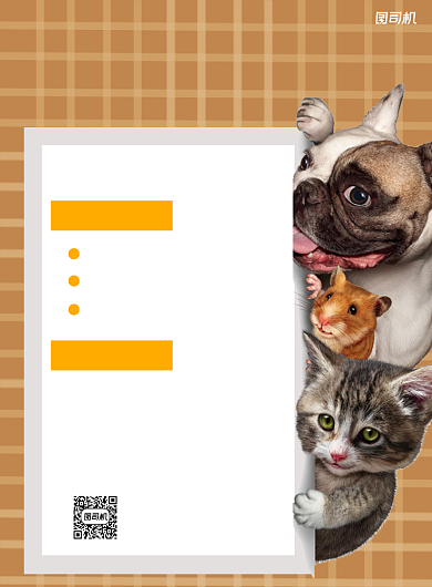 宠物店周年庆黄色简约宣传海报背景