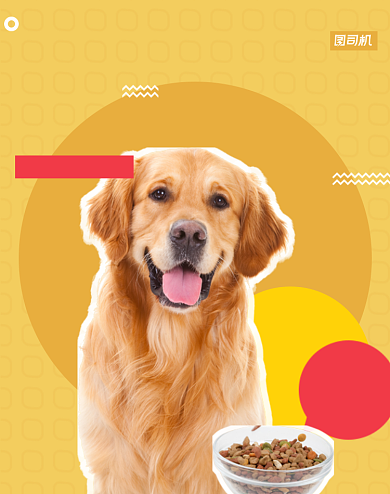 狗粮宠物宠物零食猫粮促销海报卡通背景