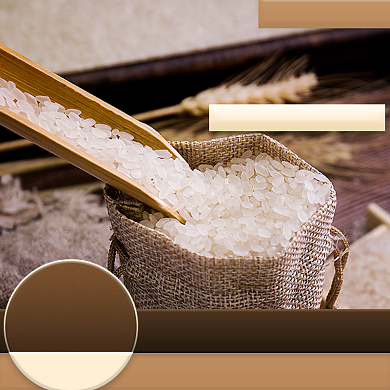 新品上市有机生态大米简约风促销主图背景