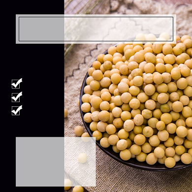 黄豆食品淘宝主图直通车模板背景