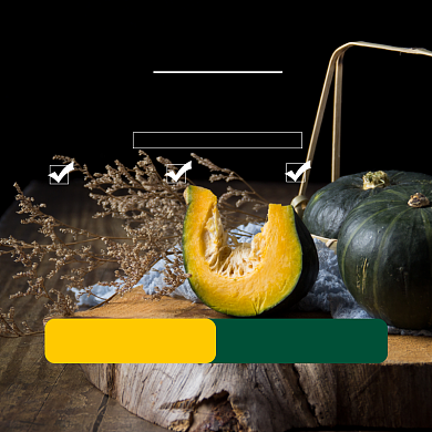 南瓜食品淘宝主图直通车模板背景