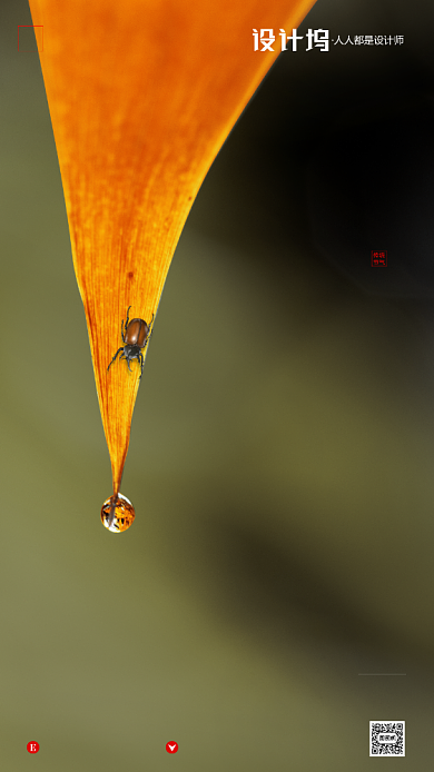 房地产传统节气立秋手机海报背景