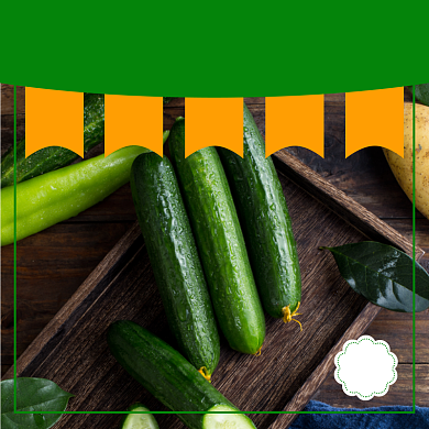 脆皮黄瓜蔬菜食品淘宝主图直通车模板背景
