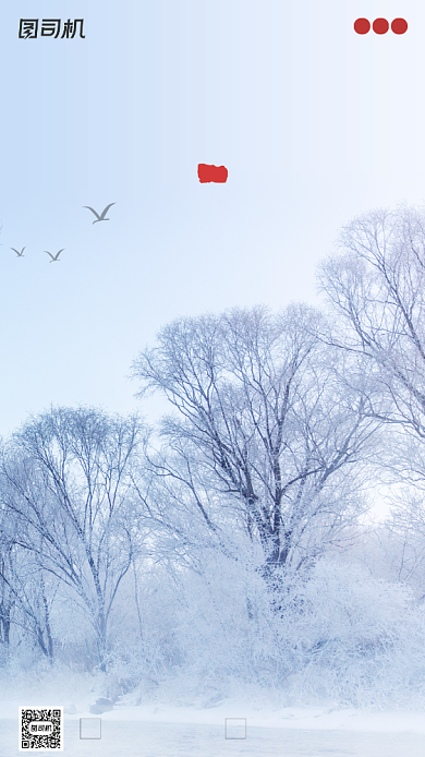 小雪节气摄影图清新简约手机海报背景