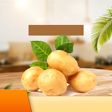 食品土特产土豆马铃薯主图背景