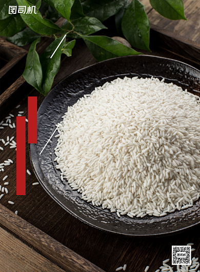 节约粮食简约公益宣传印刷海报背景