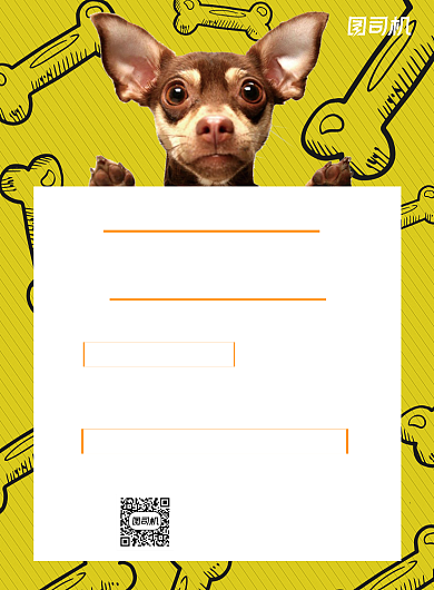 宠物领养黄色简约宣传海报背景