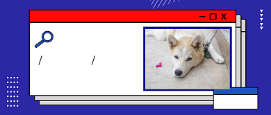 蓝色简约单身狗公众号首图背景