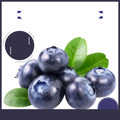 简约夏季水果蓝莓电商主图背景