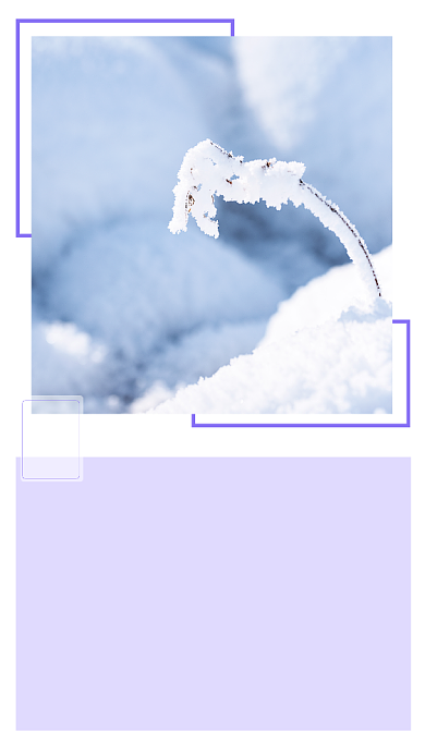 紫色简约小雪文章配图背景
