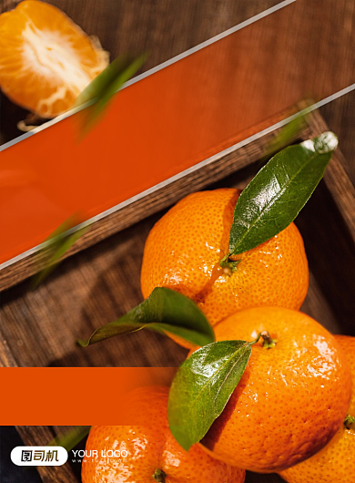 助农产品冰糖橘子印刷海报背景