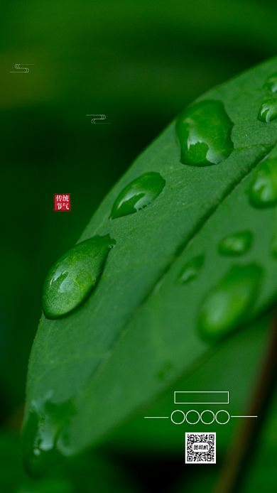 二十四节气白露清新手机海报背景