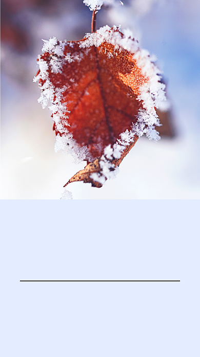 小雪传统节气红色简约文章配图背景
