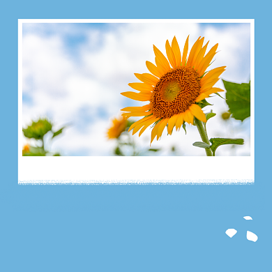 向梦想再出发方形配图背景