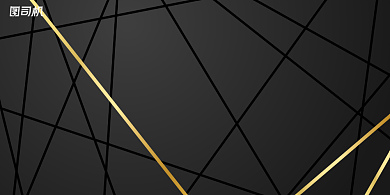 晚会黑金线条极简企业年度盛典展板背景