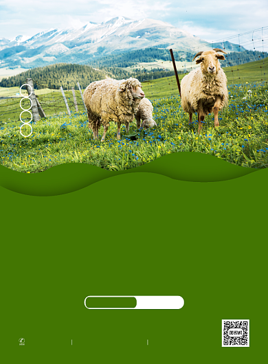 绿色简约创意草原旅游宣传海报背景