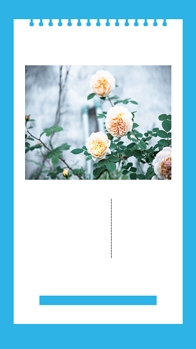 淡蓝小清新早安问候文章配图背景