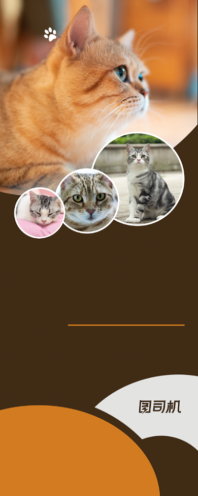 感恩促销宠物促销易拉宝背景