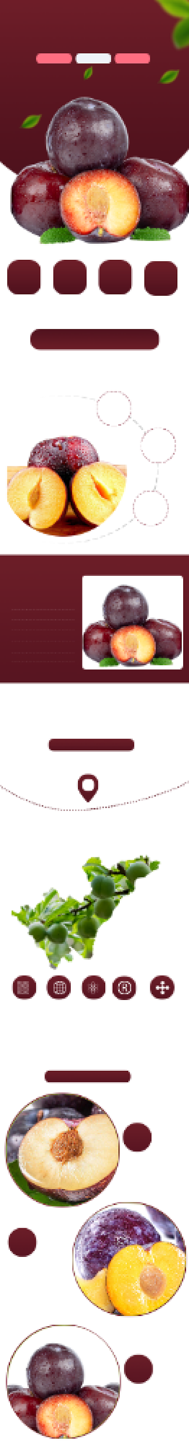 李子水果食品详情页背景