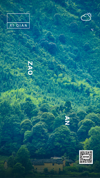 清新风每日一签海报背景