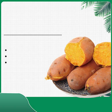 食品红薯马铃薯地瓜主图背景