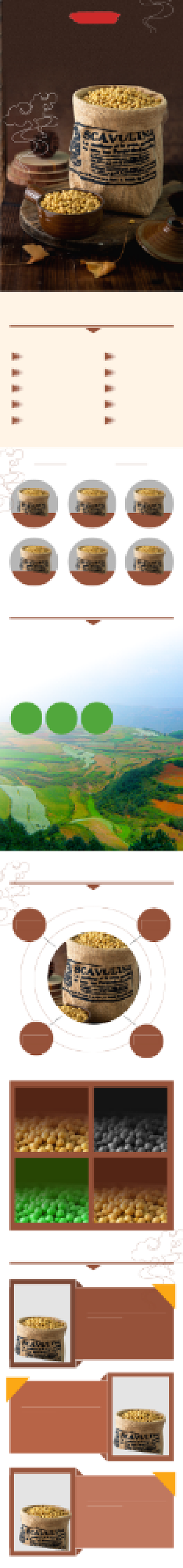 五谷杂粮健康秘制配料食材详情页背景