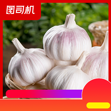 简约风农家自种干大蒜蒜头干蒜主图背景