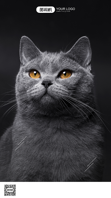 励志早安签到手机海报背景