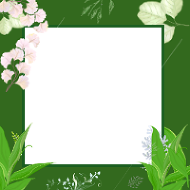 八月你好绿色清新简约公众号次图背景