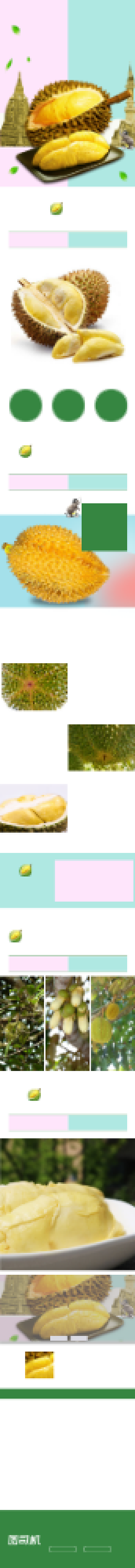 水果泰国金枕榴莲电商淘宝详情页背景