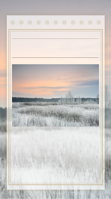 小雪芦苇摄影早安日签清新简约手机海报背景