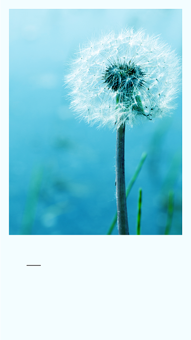 十一月你好小清新蒲公英月签文章配图背景