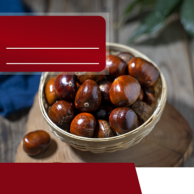 栗子板栗食品淘宝主图直通车模板背景