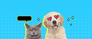 蓝色可爱萌宠搞笑日常公众号首图背景