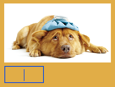 宠物之家狗黄蓝简约横版配图背景