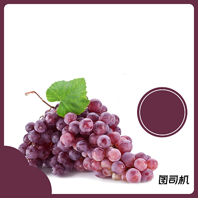 简约水果火龙果蓝莓葡萄草莓主图背景