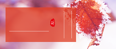 霜降传统节气橙色简约公众号首图背景